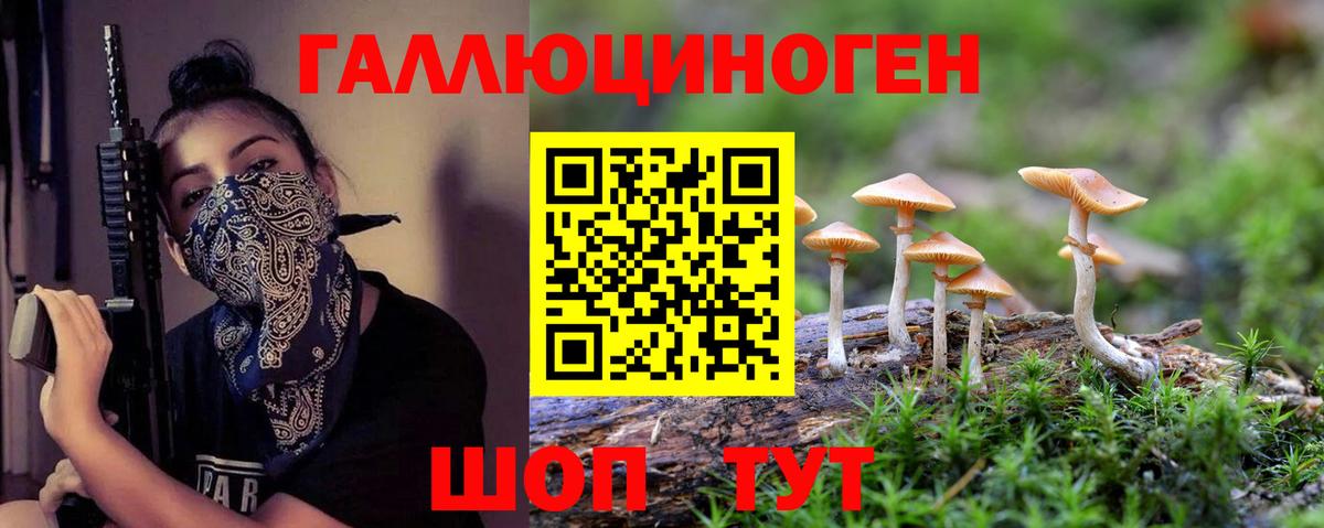 Псилоцибиновые грибы Magic Shrooms Томск