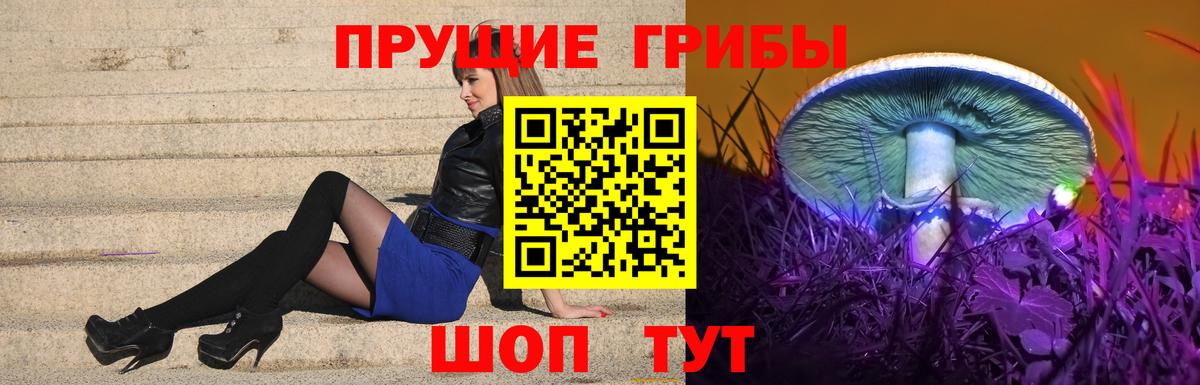 Псилоцибиновые грибы ЛСД  купить  цена  Томск  Псилоцибиновые грибы мицелий  Вход с VPN 